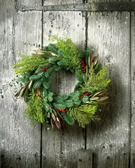 Garland: Christmas wreath