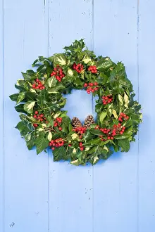 Wreaths: Christmas Wreath on old blue painted wooden door