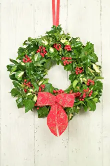 Wreaths: Christmas Wreath on old white painted door