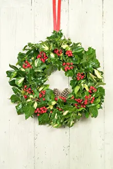 Wreaths: Christmas Wreath on old white painted door