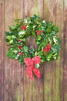 Wreaths: Christmas Wreath on old wooden door