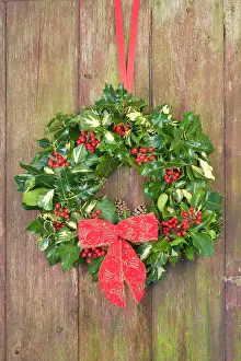 Wreaths: Christmas Wreath on old wooden door