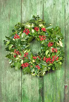 Wreaths: Christmas Wreath on old wooden door