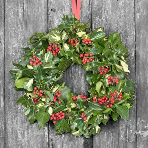 Wreaths: Christmas Wreath on old wooden door