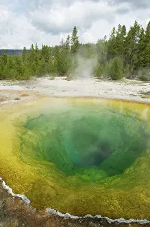 Geysers: Chromatic Pool - Old Faithful area