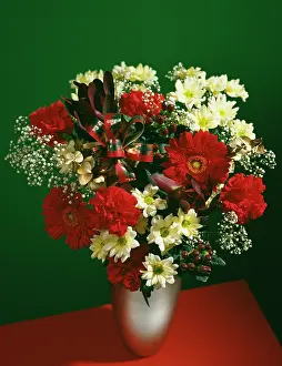 Hypericum: Chrysanthemum