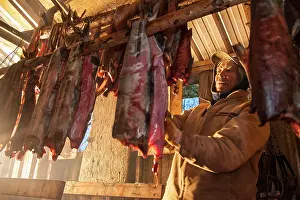 Shack: Chum Salmon drying and being smoked in the traditional