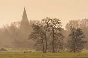 Beacon: Church tower in morning mist with silhouette of trees