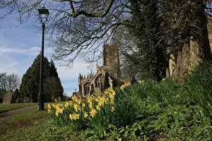 Parish: Church Yard - with Daffodils spring day