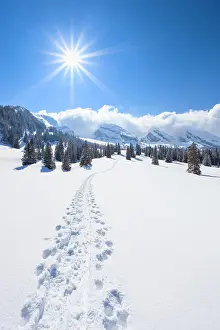 Churfirsten: Churfirsten, Toggenburg, Switzerland, Europe