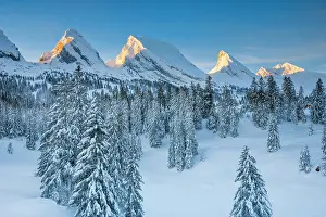 Confederation: Churfirsten, Toggenburg, Switzerland, Europe