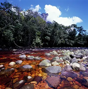 Auyantepui: Churun River near base of Angel Falls, Churun Gorge