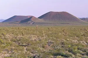Mohave: Cinder Cones, Mojave National Preserve, California