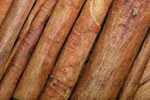 Sticks: Cinnamon