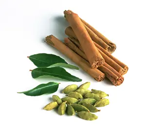 Verum: Cinnamon