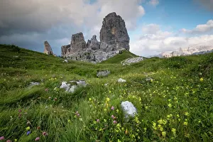 Adige: Cinque Torri with flower meadow, Cinque Torri, climbing