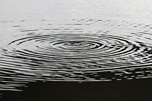 Waterdrop: Circles in the water, The Netherlands, Overijssel