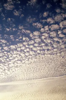 Mackerel: Cirrocumulus Clouds - mackerel sky