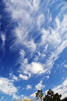 Cirrus: Cirrus uncinus clouds