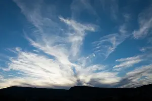 Cirrus: Cirrus uncinus clouds in evening
