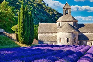 Lavender: Cistercian Abbey Abbaye Notre-Dame de Ssnanque
