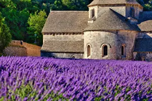 Lavender: Cistercian Abbey Abbaye Notre-Dame de Ssnanque