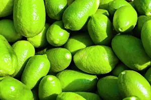 Lemons: Citrus