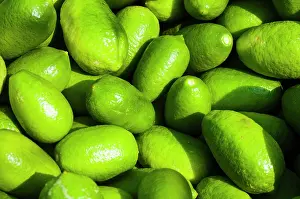 Lemons: Citrus