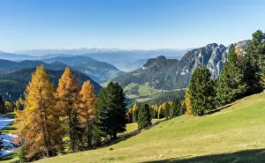 Larix: City of Bozen or Bolzano, capital of South