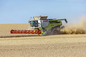 Vehicle: Claas combine harvester, grain harvest, harvesting