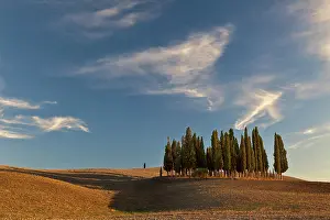 D Orcia: Classic cypress trees and harvested agricultural