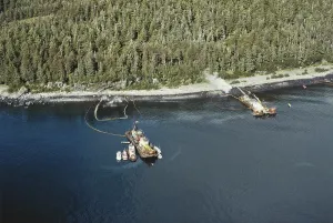 Reclamation: Cleanup After Exxon-Valdez Spill