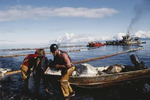 Reclamation: Cleanup After Exxon-Valdez Spill