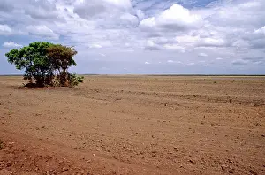 Cutting: Clearcut for soybean production, Brazil