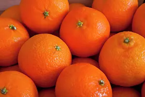 Clementine: Clementine