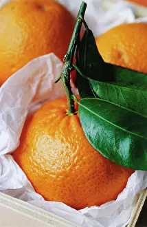 Clementine: Clementine