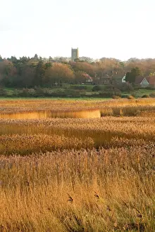 Cley: Cley - village and reedbeds