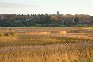 Cley: Cley - village and reedbeds