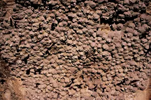 Communities: Cliff Swallow Nests