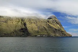 Amsterdam: Cliffs of Amsterdam Island in mist
