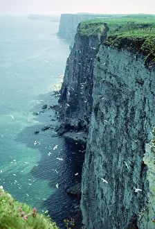 Headland: CLIFFS - BEMPTON CLIFFS