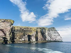 Sula: The cliffs of the isle of Noss, a famous