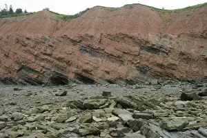 Scotia: Cliffs at Joggins Nova Scotia