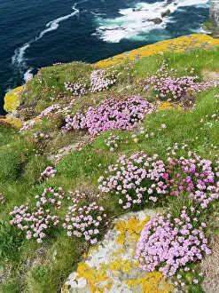 Orkney: The Cliffs of Marwick Head, Cushion of sea