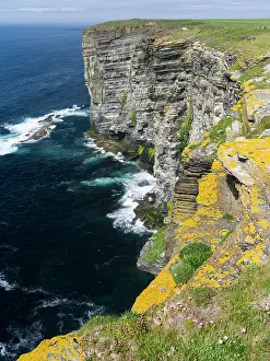 Hampshire: The Cliffs of Marwick Head, Orkney islands