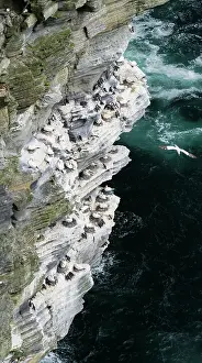 Queen: The cliffs at Noup Head on Westray island