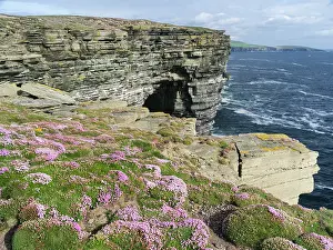 Queen: The cliffs at Noup Head on Westray island