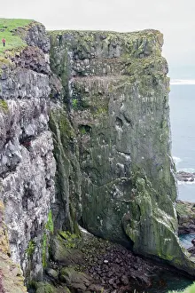 Latrabjarg: Cliffs - with seabirds