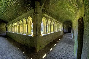 Irish: Cloister, ruins of the former Franciscan monastery