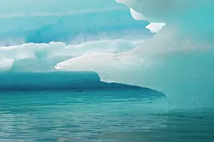 Narsarsuaq: Close up of blue ice in the fjord of Narsarsuaq, Greenland